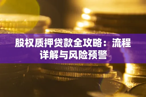 北京股权质押贷款全攻略：流程详解与风险预警