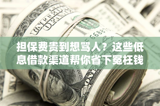 北京担保费贵到想骂人？这些低息借款渠道帮你省下冤枉钱