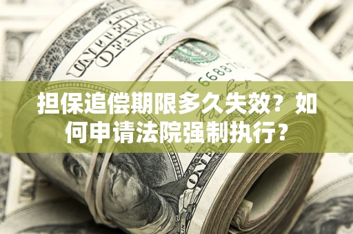 北京担保追偿期限多久失效？如何申请法院强制执行？