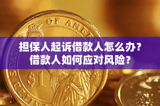 北京担保人起诉借款人怎么办？借款人如何应对风险？