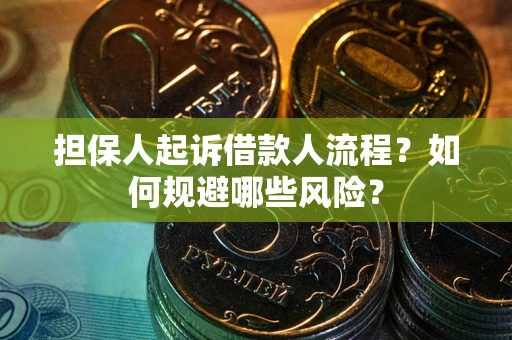 北京担保人起诉借款人流程？如何规避哪些风险？