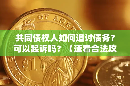 北京共同债权人如何追讨债务？可以起诉吗？（速看合法攻略）