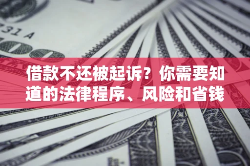 北京借款不还被起诉？你需要知道的法律程序、风险和省钱技巧