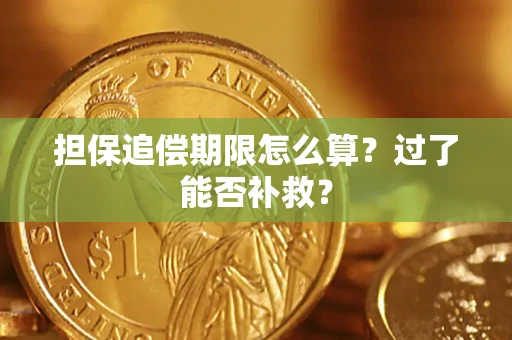 北京担保追偿期限怎么算？过了能否补救？